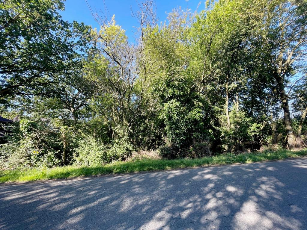 Lot: 152 - APPROX 0.5 ACRES OF FREEHOLD LAND - half acre of land from the road side at Cressing